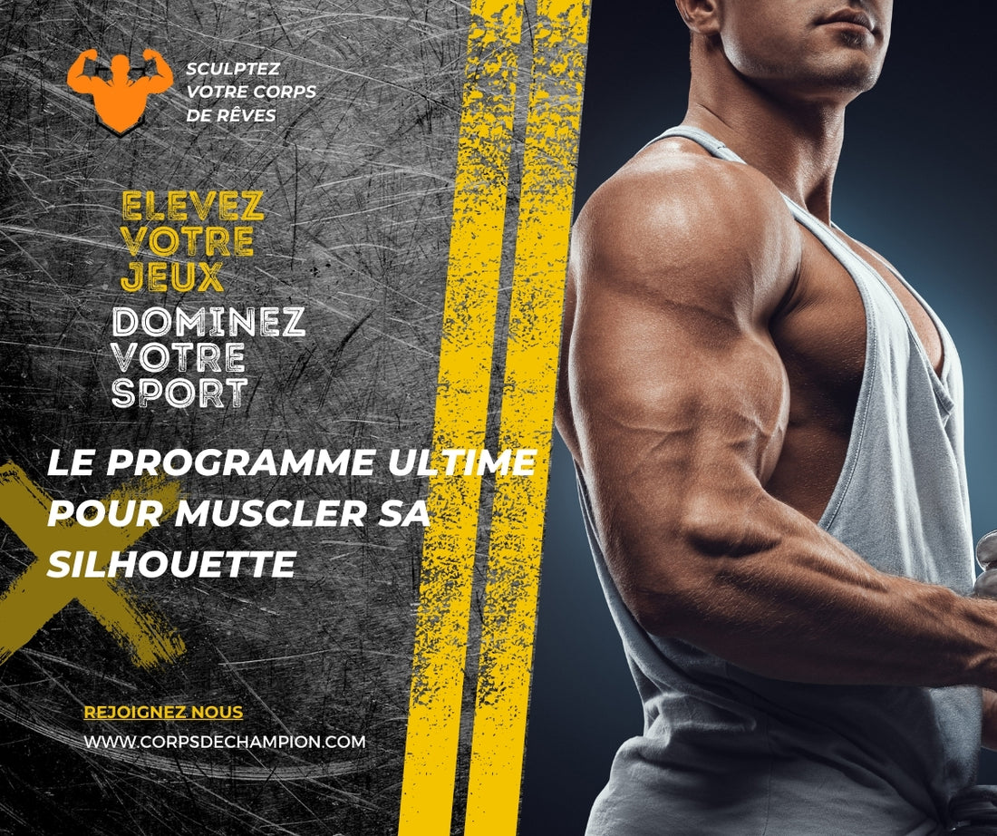 Le programme ultime pour muscler sa silhouette